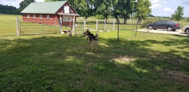 Ripon Dog Park - Ripon, WI