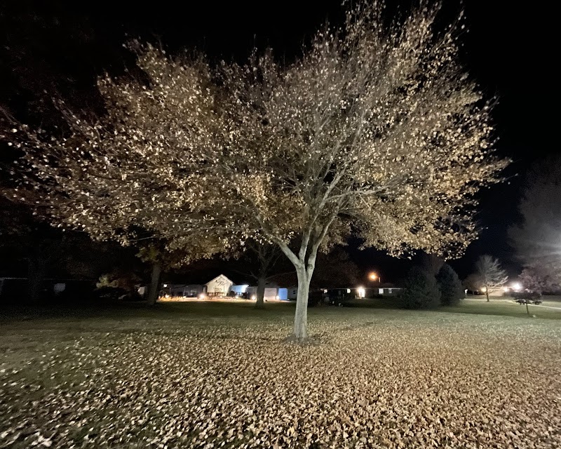 Roanoke Park - Roanoke, IL