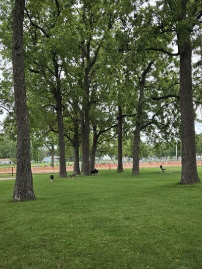 Bark Park - Rochelle, IL