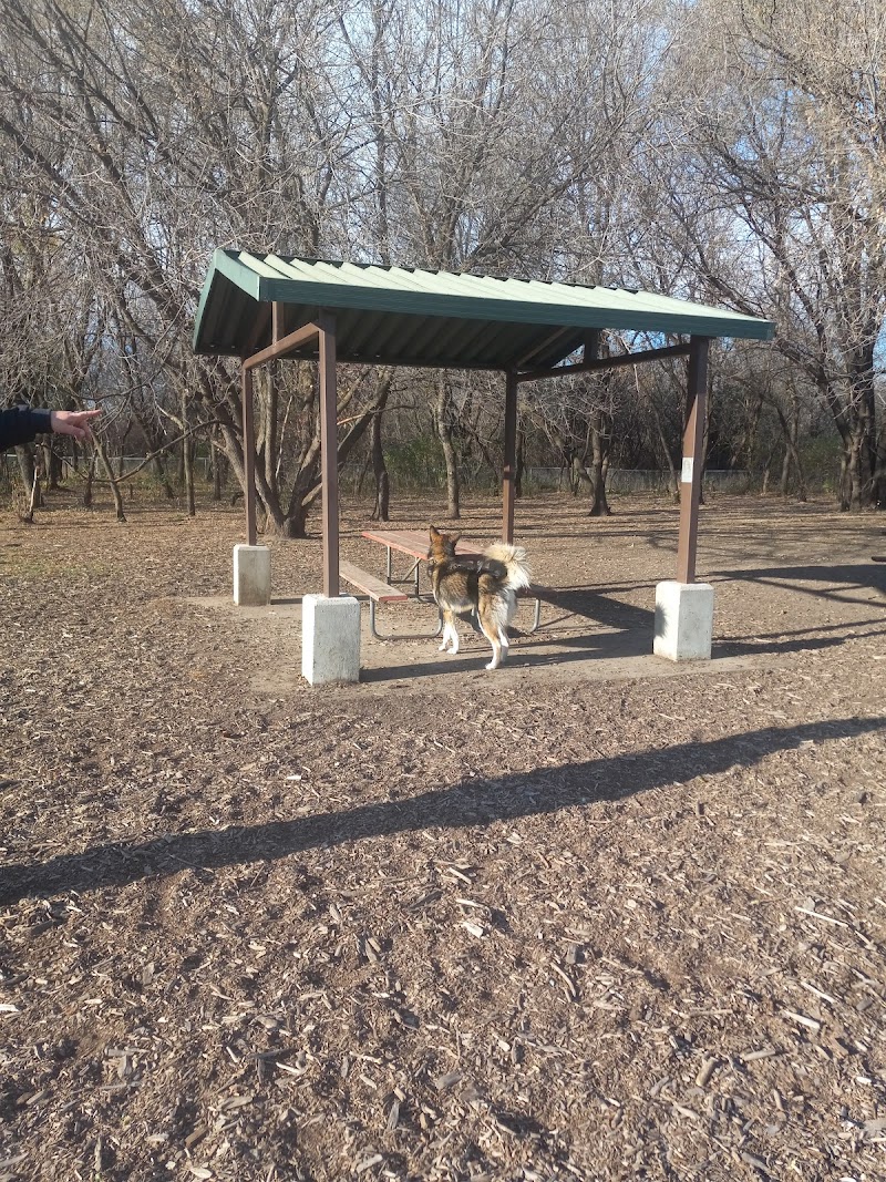 Jean & Carl Frank Canine Park - Rochester, MN
