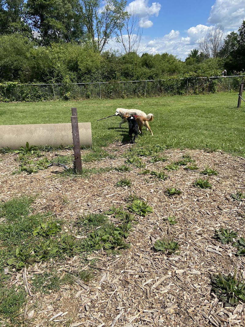 Jean & Carl Frank Canine Park - Rochester, MN