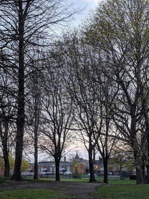 Baden Park