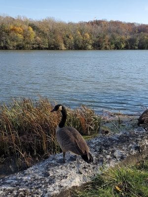 Bausch & Lomb Riverside Park