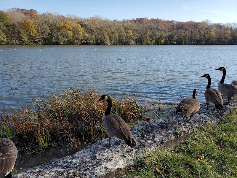 Bausch & Lomb Riverside Park - Rochester, NY