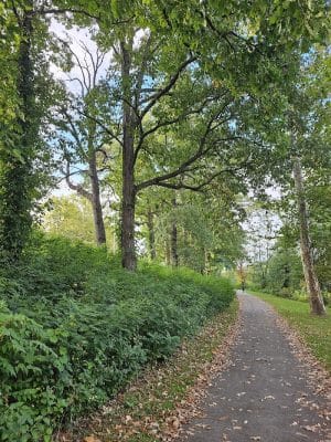 Bausch & Lomb Riverside Park