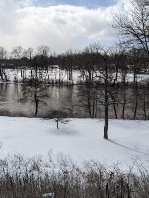 Bausch & Lomb Riverside Park