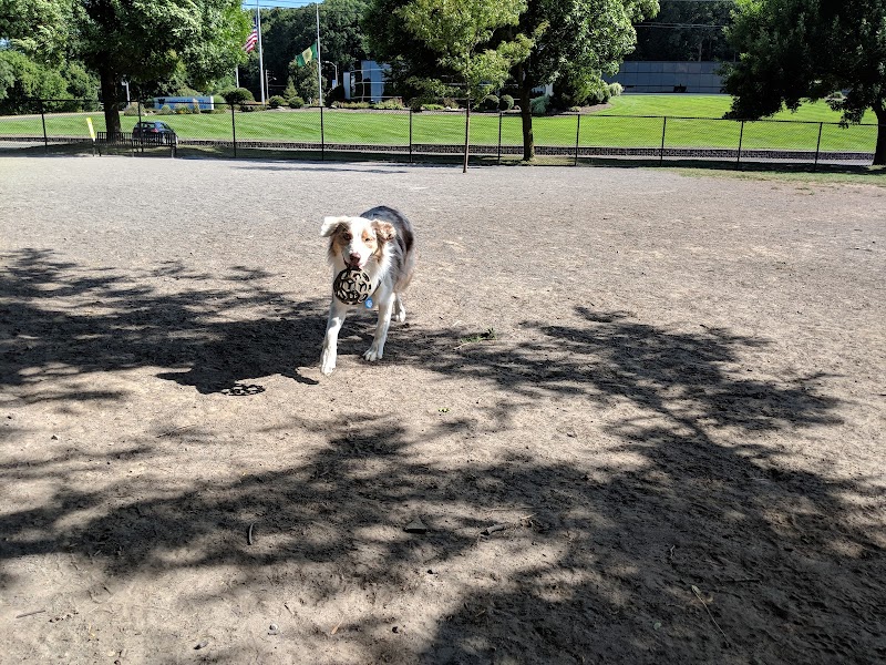 Cobbs Hill Dog Park - Rochester, NY