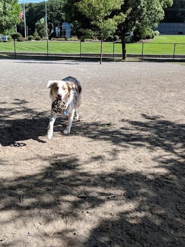 Cobbs Hill Dog Park