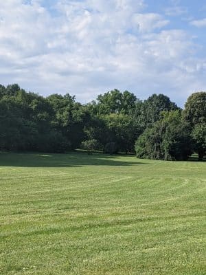 Cobbs Hill Dog Park