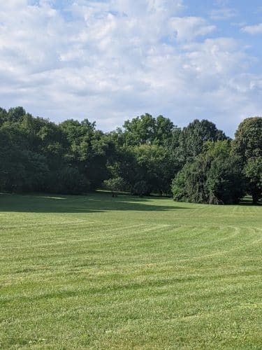 Cobbs Hill Dog Park