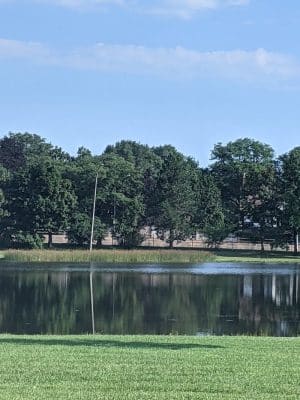 Cobbs Hill Dog Park