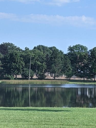 Cobbs Hill Dog Park