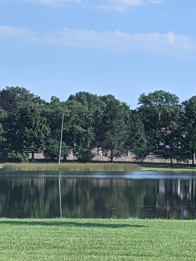Cobbs Hill Dog Park - Rochester, NY