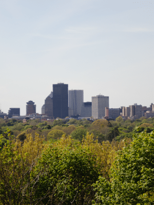Cobbs Hill Park