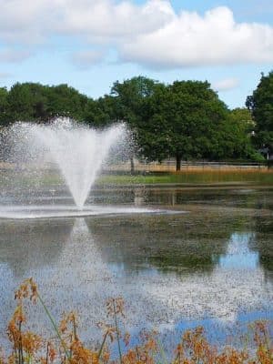 Cobbs Hill Park