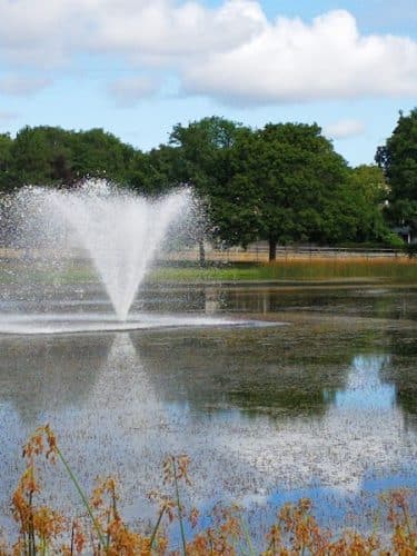 Cobbs Hill Park