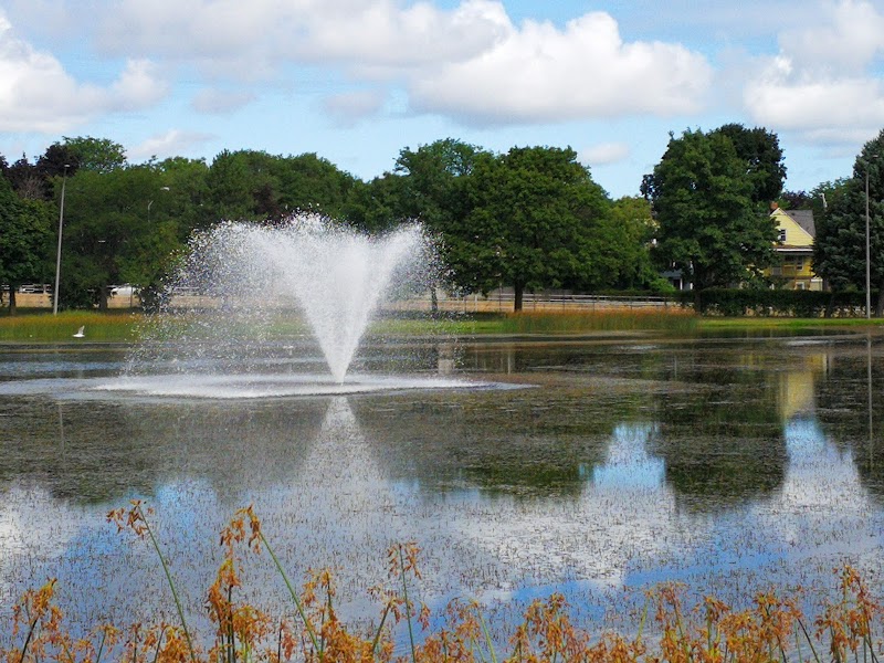 Cobbs Hill Park - Rochester, NY