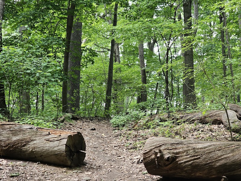 Cobbs Hill Park - Rochester, NY