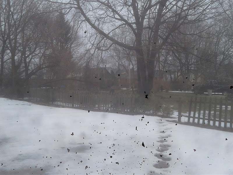 Conkey Corner Park - Rochester, NY