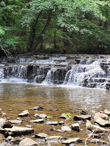 Corbett's Glen Nature Park