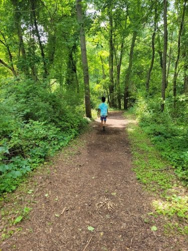 Corbett's Glen Nature Park