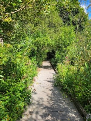 Corbett's Glen Nature Park
