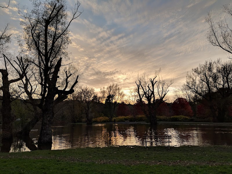 Ellison Dog Park - Rochester, NY