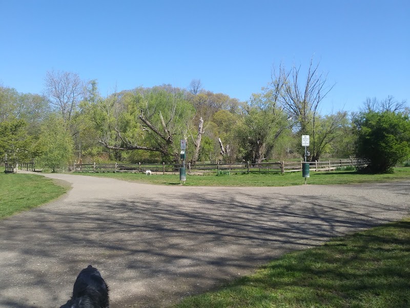 Ellison Dog Park - Rochester, NY
