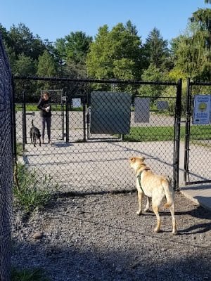 Ellison Dog Park