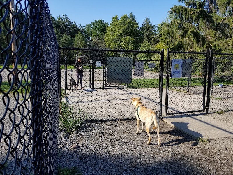 Ellison Dog Park - Rochester, NY