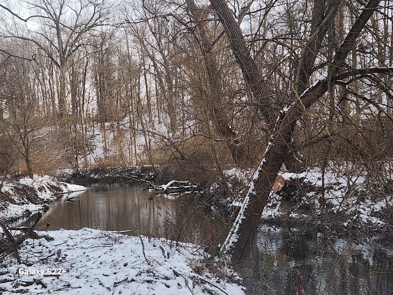 Ellison Dog Park - Rochester, NY