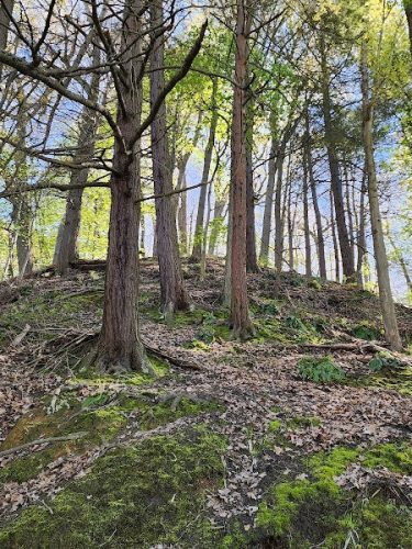 Ellison Park - Rochester, NY