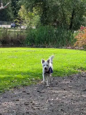 Ellison Park - Rochester, NY