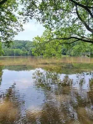 Ellison Park - Rochester, NY