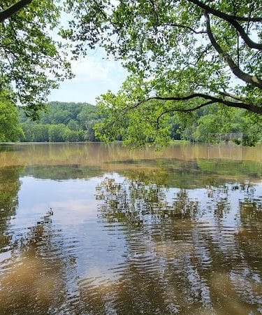 Ellison Park - Rochester, NY