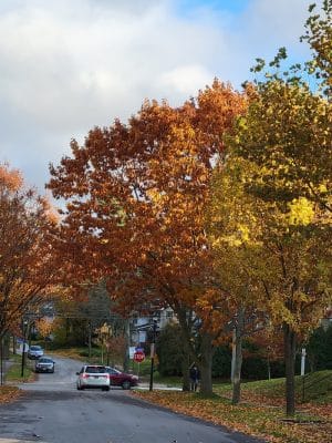 Ellwanger & Barry Park