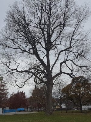 Gardiner Park