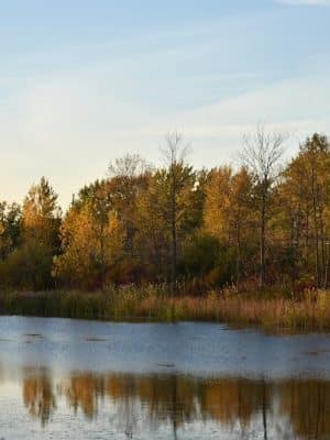 Gates Memorial Park - Rochester, NY