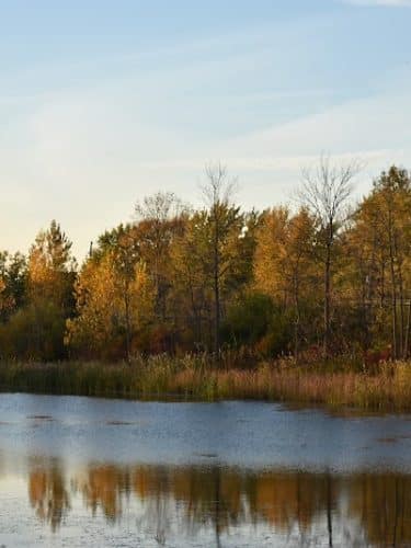 Gates Memorial Park - Rochester, NY