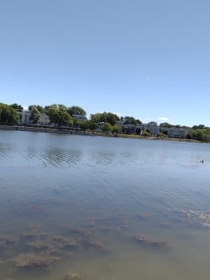 Genesee Gateway Park