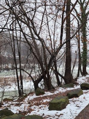 Genesee River Lower Falls at Maplewood Park