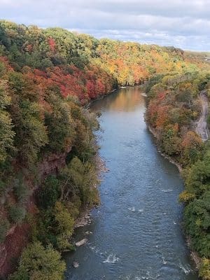 Genesee River Lower Falls at Maplewood Park