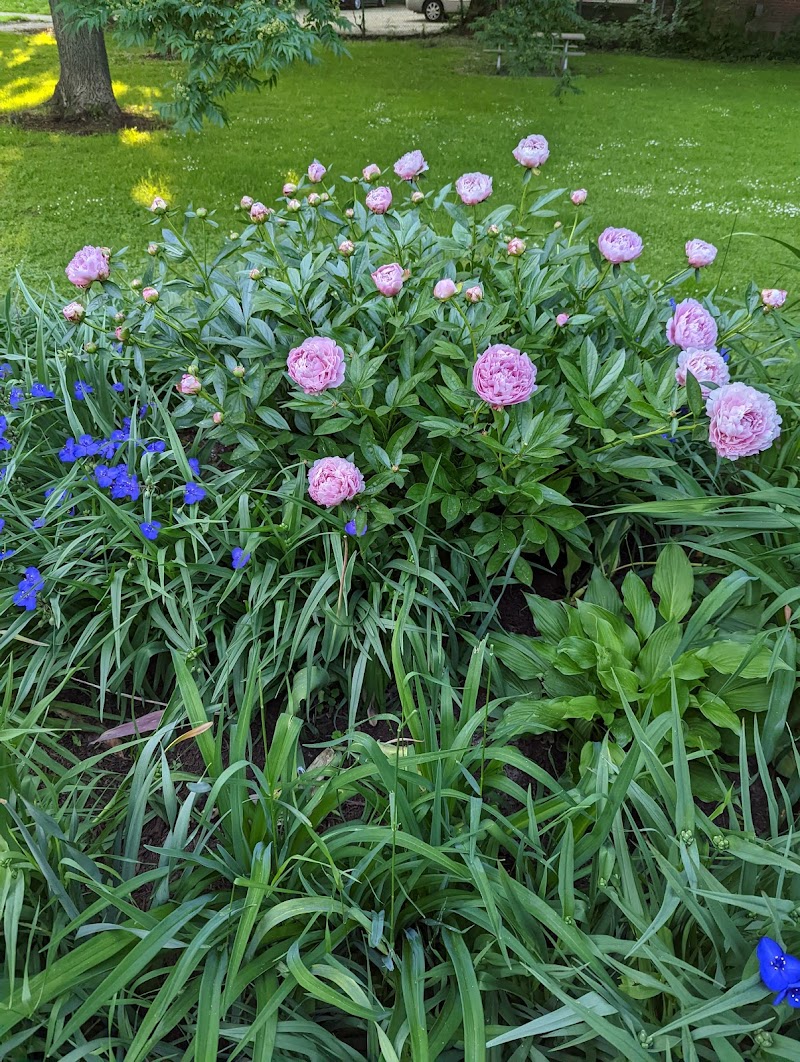 Goodwin Park - Rochester, NY
