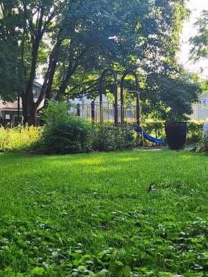 Goodwin Park
