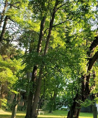 Goodwin Park