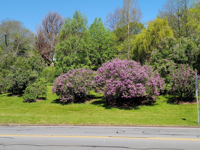 Highland Park - Rochester, NY
