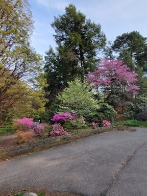 Highland Park