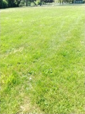 JR Wilson Park