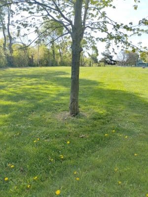 JR Wilson Park