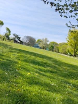 JR Wilson Park